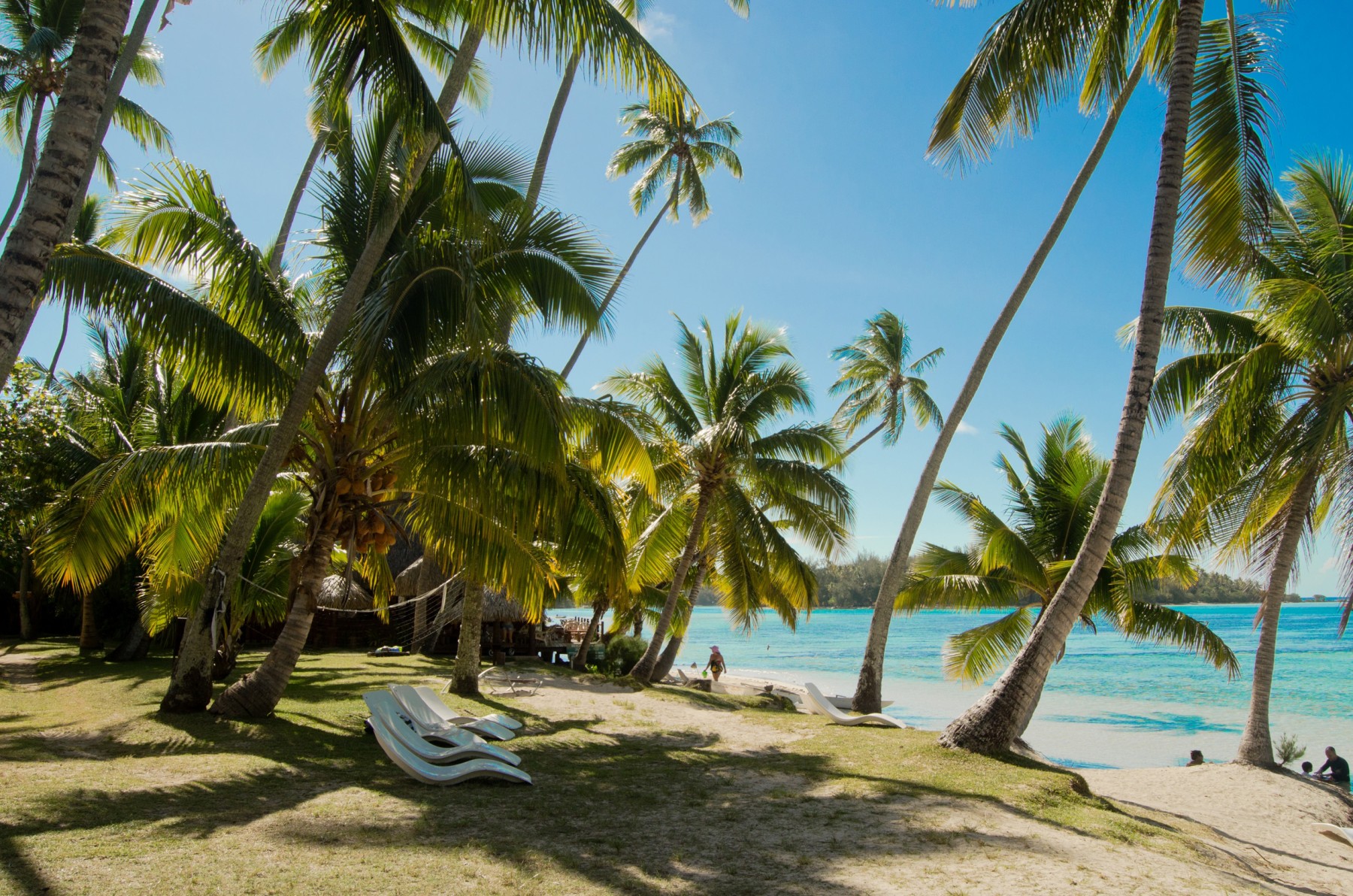 Pension Les Tipaniers